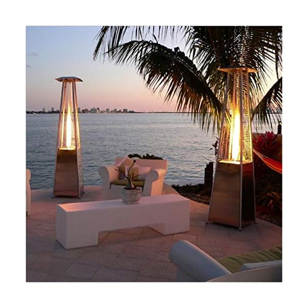 DJLOOKK Calentador de Torre de Gas, Calentador Vertical de Gas licuado