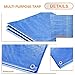 TANG Blue Tarps Heavy Duty Waterproof 12'x16 Feet General Multi-Purpose 5 Mil Poly Tarp Furniture Cover for Tent Shelter Boat RV Pool Camping Tarpaulin