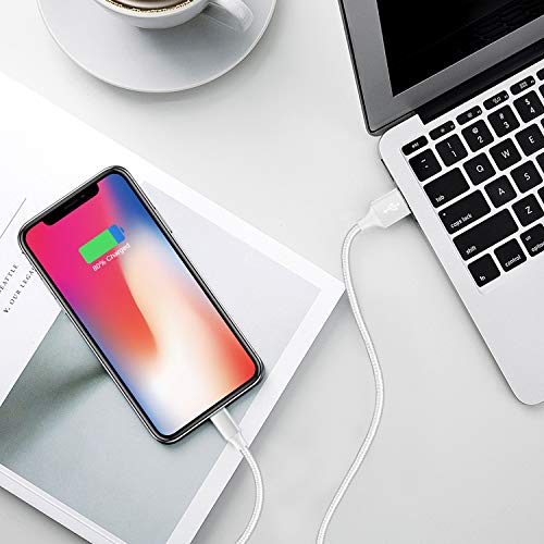 iPhone Charger, MFi Certified Lightning Cables 5Pack 2x3FT 2xFT 10FT to USB Syncing Data and Nylon Braided Cord Charger for iPhone Xs/Max/XR/X/8/8Plus/7/7Plus/6S/6S Plus/SE/iPad and More - Sliver