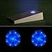 Sandal Sports Cornhole Night LED Lights (Set of 2) - Bright Blue
