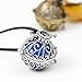 Lava Stone Aromatherapy Essential Oil Diffuser Necklace 2 Garden Style Pendant Locket with a 24