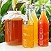 Fermentaholics Jun Kombucha Starter Culture – 12 fl oz – Includes USDA Certified Organic Jun SCOBY + Starter Tea – For Brewing with Green Tea & Honey – Makes 1 Gallon