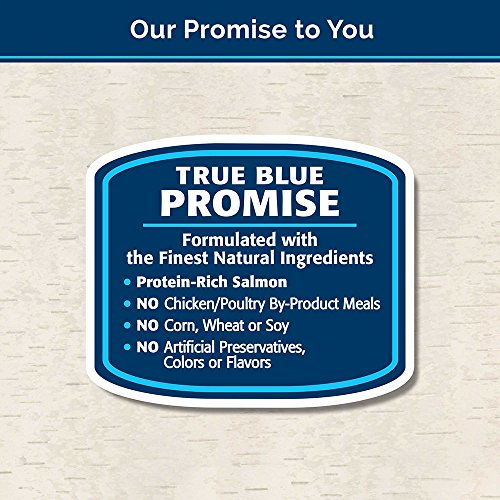BLUE Wilderness Grain-Free Crunchy Salmon Flavor C at Treats 2-oz 12 Pack