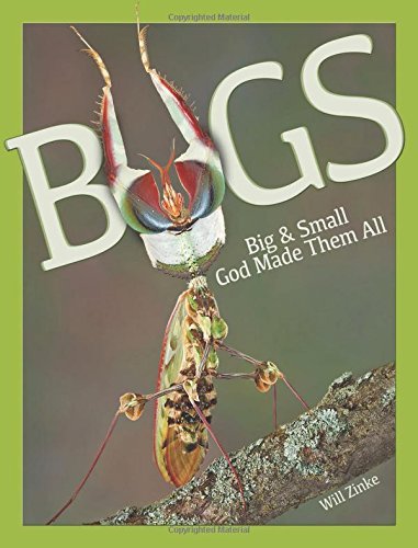 Bugs Big & Small God Made Them All by William Zinke (2014-09-01)