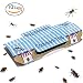 Fourheart Strong Sticky Glue Cockroach Traps for Home Pest Control Kill Roacheds Ants Spiders and other Bugs Insects with Bait Included, Non-Toxic and ECO-Friendly - 10 Pack