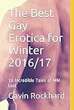The Best Gay Erotica for Winter 2016/17: 16 Incredible Tales of MM Lust (MM Best-of Anthology)