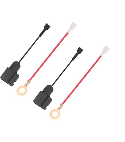 Amazon.com: 2Pin Sumitomo Rear Door Lock Motor Horn Plug Auto