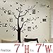 DaGou, Huge 7' Ft(h) X 7' Ft(w) Wall Decals, Memory Tree and Birds, Wall Stickers, Murals