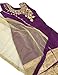 Indian Boutique Collection Pakistani Sharara Pants Girls Sangeet/Wedding/Reception Party Wear Dress Suit (Size 26 (3-4 YR))