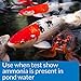 API POND AMMO-LOCK Ammonia detoxifier For Pond Water 16-Ounce Bottle