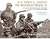 US Small Arms in World War II: A photographic history of the weapons in action (General Military)
