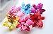 DreamLily Hawaiian Orchid Flower Hair Clip Hair pins for Beach Party BC14 (Red#1)