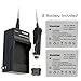 Kastar Battery Charger with Car Charger and 2 Battery for Canon Powershot TX1 SD750 SD1000 SD780 is SD1400 is ELPH 100 HS ELPH 300 HS ELPH 310 HS ELPH 330 HS as NB-4L NB4L NB-4LH NB4LH CB-2LV