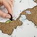 Map Scratch Off World Poster, Beautifully Detailed Cartography w US States, Personalized Travel Tracker To Inspire Your Traveling! Awesome Gift For Travelers! W Bonuses, A2 size, Rose Gold by TOMOJO