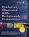 Zondervan Illustrated Bible Backgrounds Commentary - Hebrews to Revelation Vol.4 by Zondervan, Clinton E. Arnold