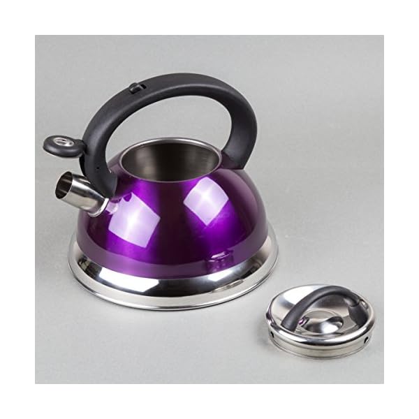 Creative Home Alexa 3.0 Quart Stainless Steel Whistling Tea Kettle Fast