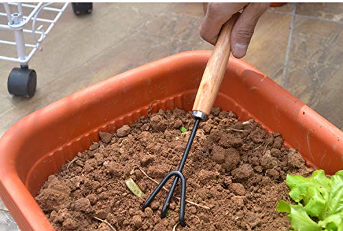 A Dahuy 3 Stücke Mini Garten Handwerkzeuge Umpflanzen Werkzeuge