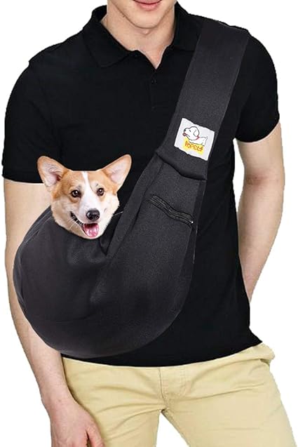 teacup puppy carrier