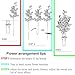 4 Pcs Artificial Olive Plants Branches Fake Fruits Silk Plants Plant