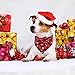 Malier Dog Bandana and Collar Set Pet Christmas Classic Plaid Snowflake Dog Scarf Triangle Bibs Kerchief Adjustable Collars with Bow Tie Pet Costume for Cats Dogs Pets (Small)
