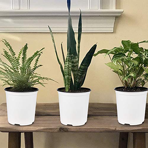 image for GROWNEER 24 Packs 0.7 Gallon White Flexible Nursery Pot Flower Pots wi
