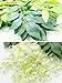 3.6 FT Wisteria Artificial Flowers Fake Hanging Wisteria Vine Ratta Silk Flowers for Home Wedding Party Decor, 24 Pieces