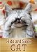 Peek-A-Boo Cat and Kitty ( A Picture Book for Kids ) An easy reader series
