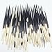 PEPPERLONELY 10PC South Africa Porcupine Quills (4 Inch ~ 6 Inch)