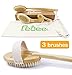 3 Dry Brushes/Set 100% Natural Boar Bristles Body Brushes & Face Brush-Extra Long Detachable Handle 17