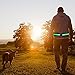 Bseen Led Running Belt USB Rechargeable Reflective Waist Pack High Visibility Fanny Pocket for Running, Camping, Walking, Cycling
