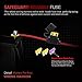 MICTUNING LED Light Bar Wiring Harness Fuse 40Amp Relay ON-OFF spot light Rocker Switch Blue(2 Lead)