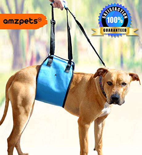 dog front leg sling