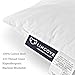 Lincove Toddler Pillow - Pure White 100% Cotton Shell 13”X18” Kids Sleeping Pillow - Machine Washable - Hypoallergenic - Made in USA