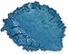BLACK DIAMOND PIGMENTS Variety Pack 16 (10 Colors) Mica Powder Pure,Galaxy,Diamond and 2TONE Series Variety Pigment Packs (Epoxy,Paint,Color,Art)