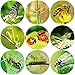 Realistic Bug Stickers Insect Sticker for Kids Classroom Incentives Learning Perforated 200Pcs Per Roll