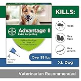Flea and Lice Treatment for Dogs, Over 55 lb, 4 doses, Advantage II