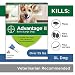 Flea and Lice Treatment for Dogs, Over 55 lb, 4 doses, Advantage II primary
