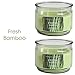 Hosley Set of 2 Fresh Bamboo Highly Scented, 2 Wick, 10 Oz wax, Jar Candle. Ideal votive GIFT for Party Favor, Bridal, Wedding Spa Reiki, Meditation, Bathroom settings