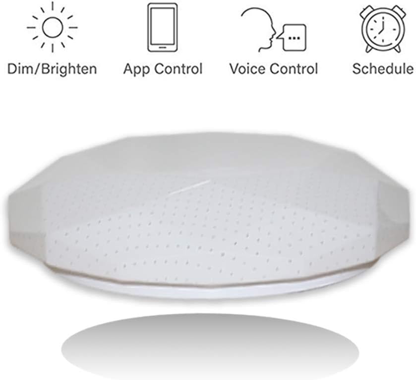 Best Led Ceiling Light Google Home