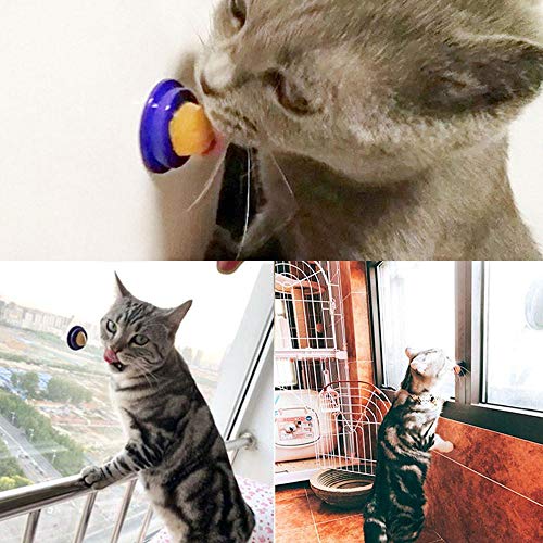 AUOKER Cat Treats Catnip Sugar, Catnip Cat Snacks Licking with Isinglass and Trace Elementsfor for Kittens Cats Pet, Interactive Solid Nutrition Gel Energy Ball with Catnip Toys (Catnip, 1pc)