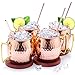 Authentic Moscow Mule Copper Mugs Set of 4 (16oz) — Includes Everything You Need Plus Bonuses!