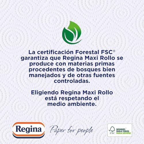 Maxi Rollo Papel de Cocina - Paquete de 2 Rollos, 100 Maxi Hojas Decoradas de 2 Capas, Equivalente a 6 Rollos Estándar, Extra Absorbentes, Envase de Papel Reciclable, 100% Certificado FSC