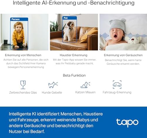 TP-Link C220 360°-WLAN-Überwachungskamera für den Innenbereich, 2K 4MP, IR Nachtsicht, Bewegungserkennung, Zwei-Wege-Audio, kompatibel mit Alexa und Google Assistant, für Babys/Haustiere