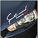 11.5-Inches Auto Vinyl Sticker Hood, Bumper, Fender, Window Decal (Sports Mind White and Red)