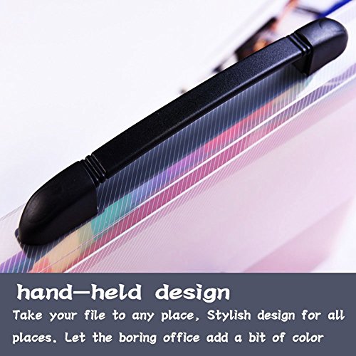 Expanding File Folder/Accordion Folder File Organizer Handle A4 Multicolor Portable Expanding Wallets Large Capacity Portable Box Document Stand Bag, Labels,Office, Study, Business (13 Pockets)