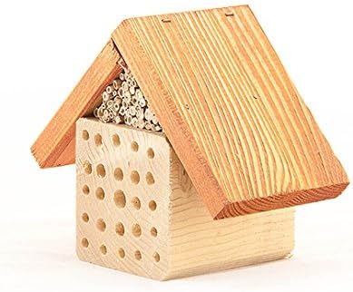 Compact Wooden Insect Bug and Bee Hotel - Made From Solid Wood - Eco-Friendly Gardeners Gift