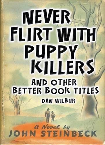 Never Flirt with Puppy Killers: And Other Better Book Titles by Dan Wilbur