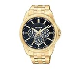 Citizen Men's Goldtone Stainless Steel Watch