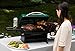 Cuisinart CGG-220 Everyday Portable Gas Grill, Green