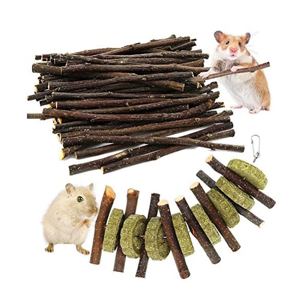 Hamster Chew Toys,Wooden Hamster House,Natural Wooden Pine Guinea Pigs Rats Chinchillas Toys